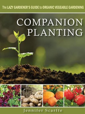 cover image of Companion Planting--The Lazy Gardener's Guide to Organic Vegetable Gardening